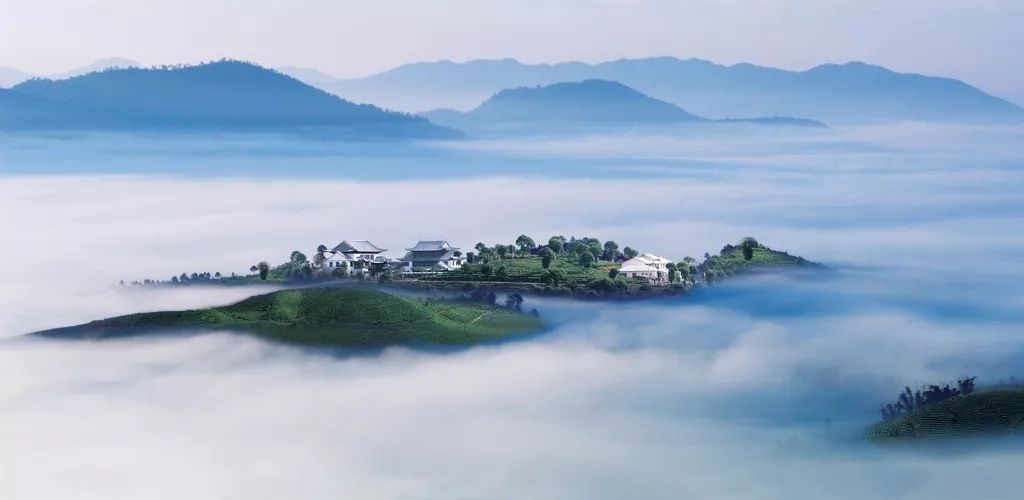 普洱gdp年_2011年的普洱青饼图(2)