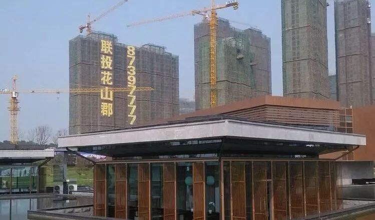 "武汉最奇葩精装维权案"横空出世:联投花山郡,玩鹰的人被鹰啄了眼