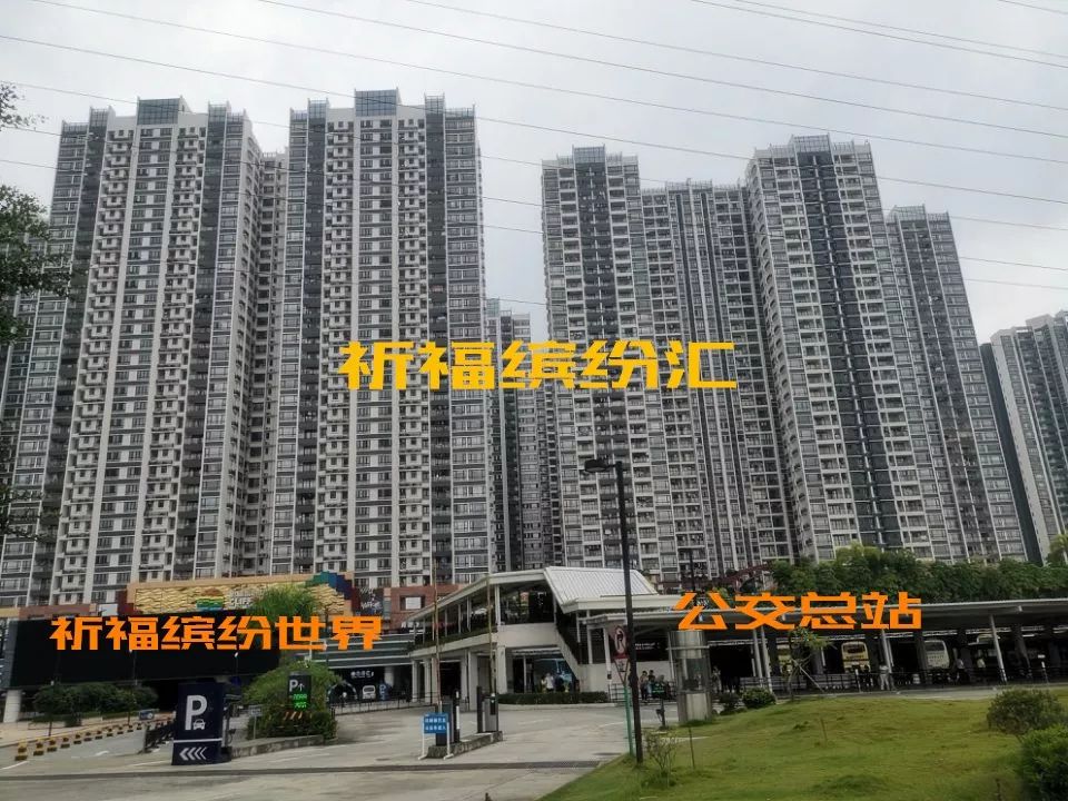 祈福新村有多少人口_祈福新村地图